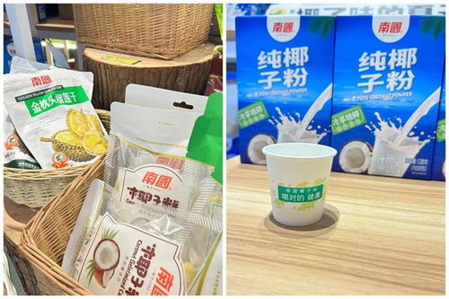 南國食品 椰香飄逸大灣區(qū)南國椰子節(jié)引領 椰味 新風尚