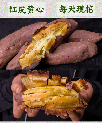 湖南省邵陽市雙清區扶貧助農產品地瓜 10斤裝