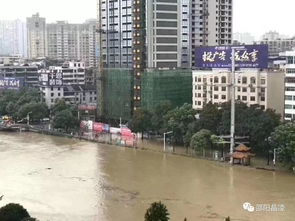 邵陽挺住 2019.7.9洪水侵襲寶慶,洪峰過境全程大紀實